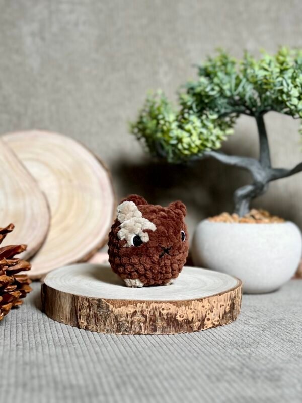 IMG_0794 Petits Chats