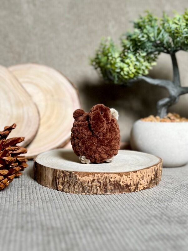 IMG_0796 Petits Chats