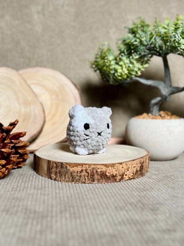 IMG_0798 Petits Chats