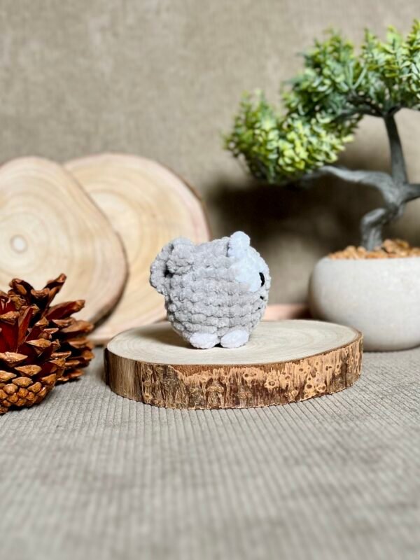 IMG_0799 Petits Chats