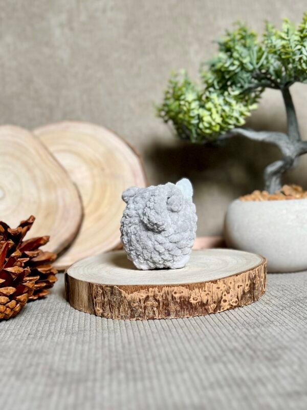 IMG_0800 Petits Chats