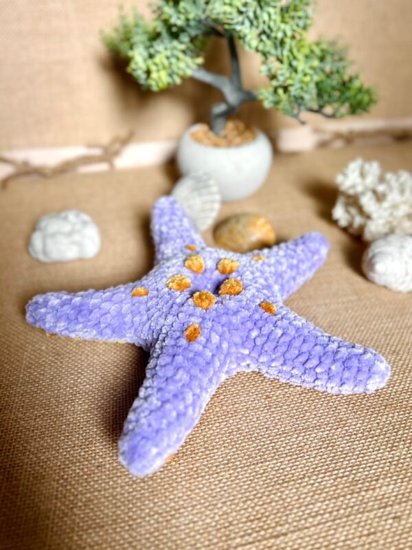 IMG_0811 Etoile de Mer