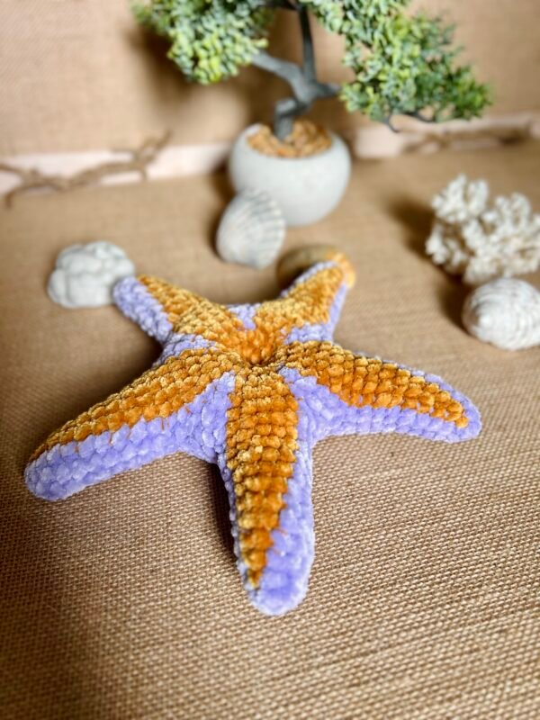 IMG_0812 Etoile de Mer