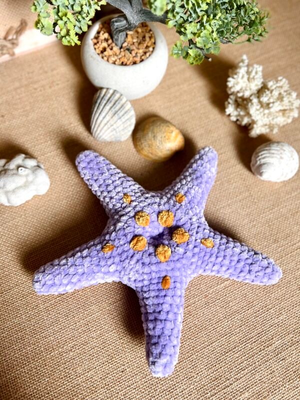 IMG_0813 Etoile de Mer