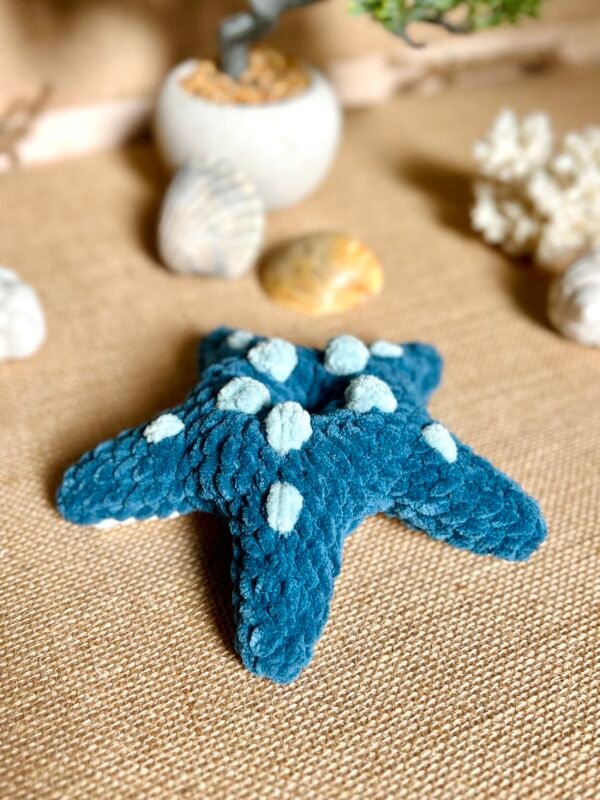 IMG_0814 Etoile de Mer