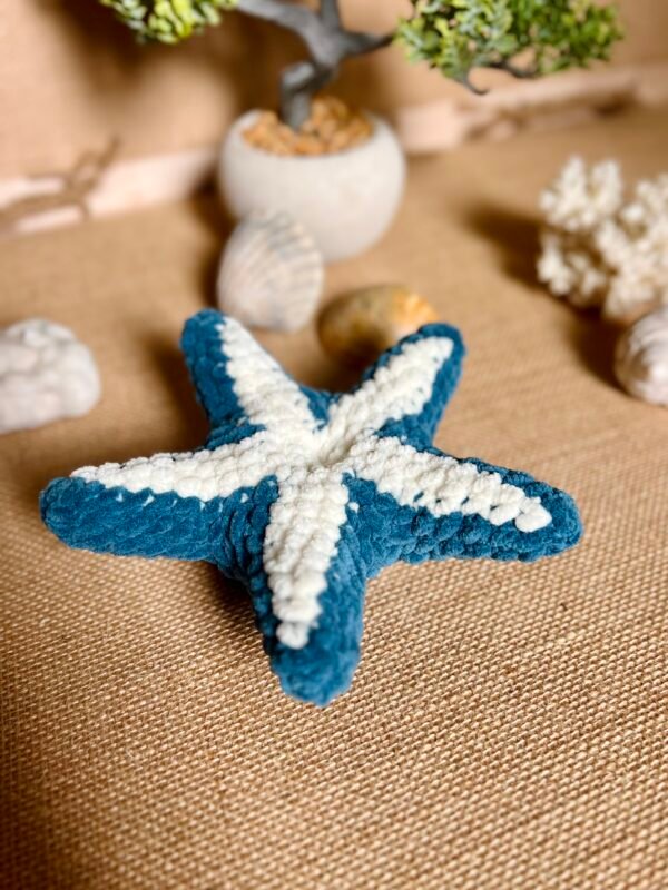 IMG_0815 Etoile de Mer