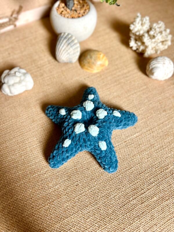 IMG_0816 Etoile de Mer