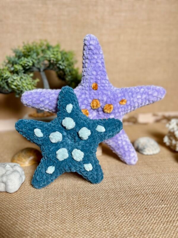 IMG_0817 Etoile de Mer