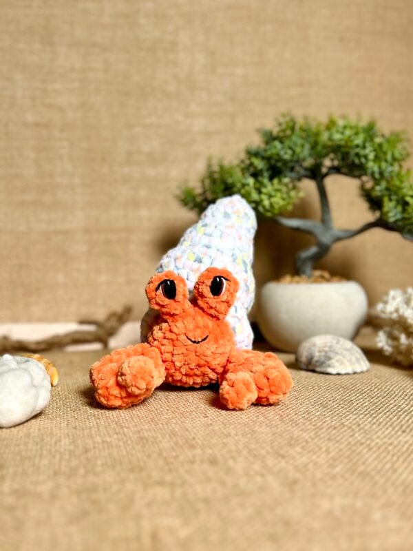 IMG_0820 Bernard L'ermite