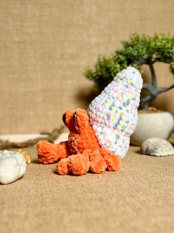 IMG_0821 Bernard L'ermite