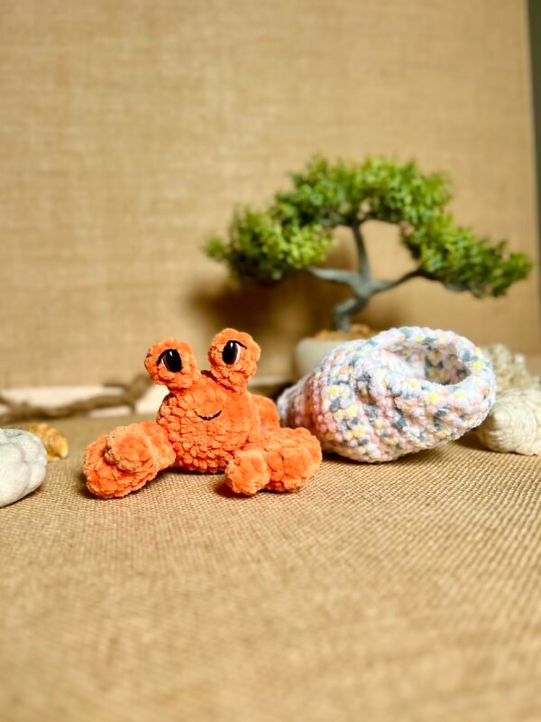 IMG_0826 Bernard L'ermite