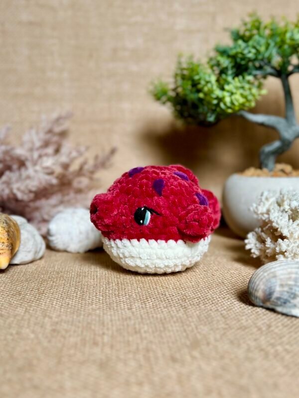 IMG_0835 Poisson Coffre