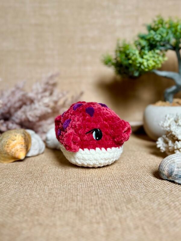 IMG_0836 Poisson Coffre