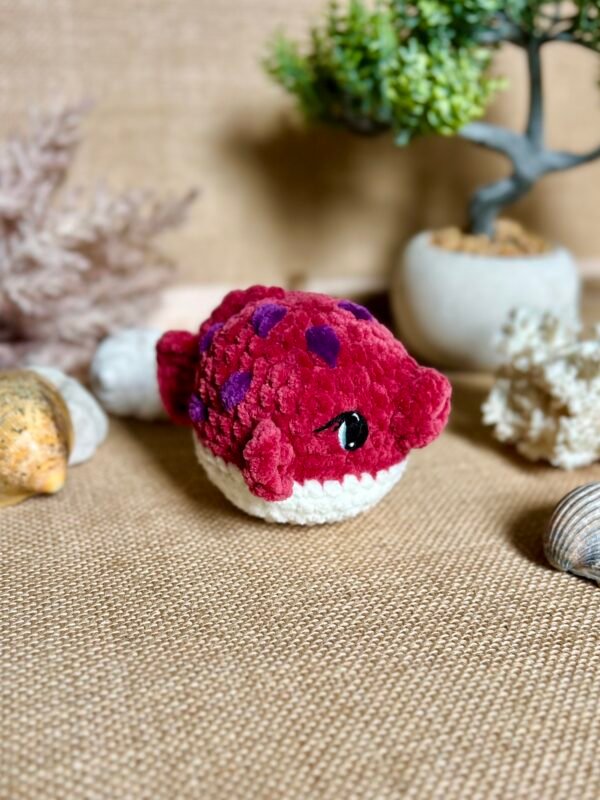 IMG_0837 Poisson Coffre