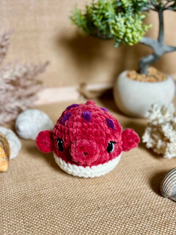 IMG_0838 Poisson Coffre