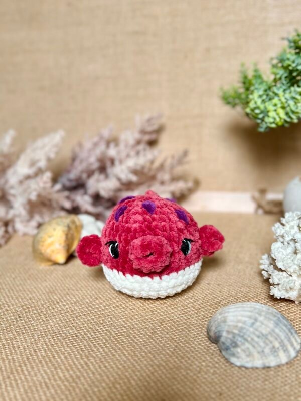 IMG_0839 Poisson Coffre