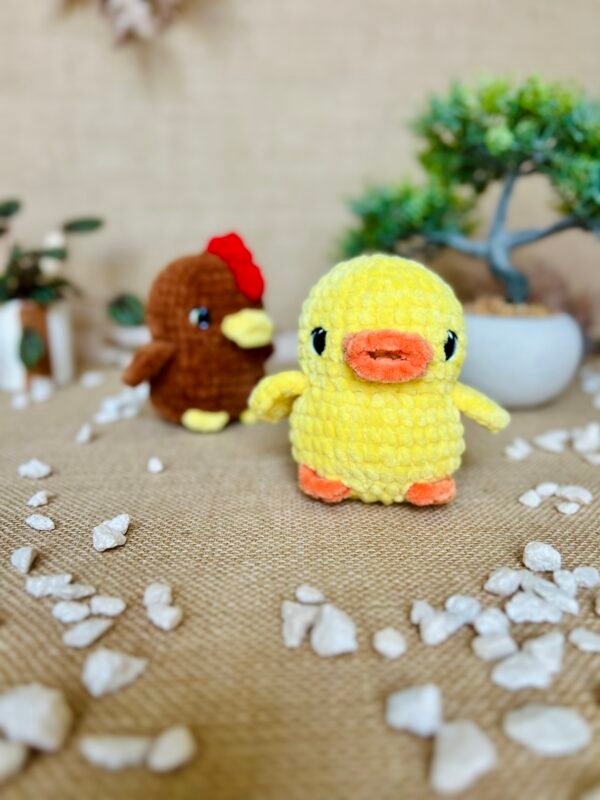 IMG_0964 Poule et Poussin