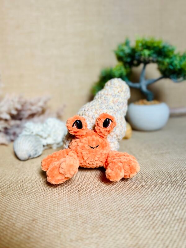 IMG_1117 Bernard L'ermite