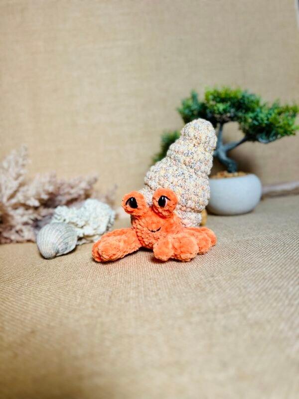 IMG_1119 Bernard L'ermite