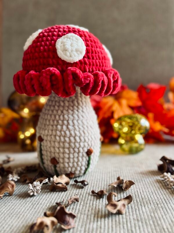 IMG_2082 Champignon Féérique