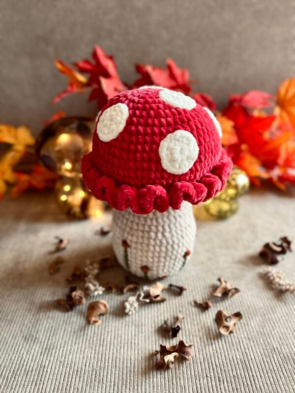 IMG_2083 Champignon Féérique