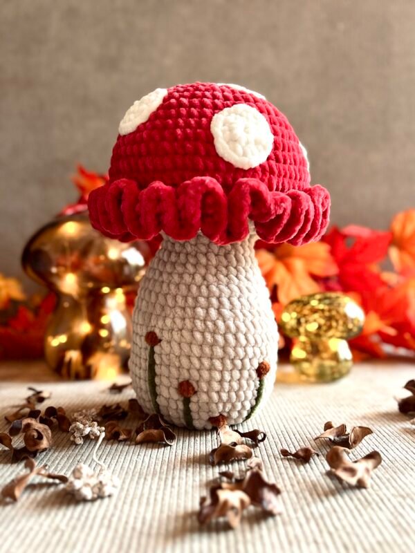 IMG_2087 Champignon Féérique