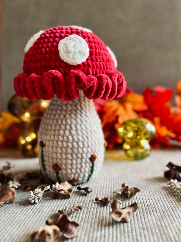 IMG_2094 Champignon Féérique