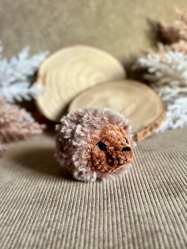 img_2650-2 Petit hérisson