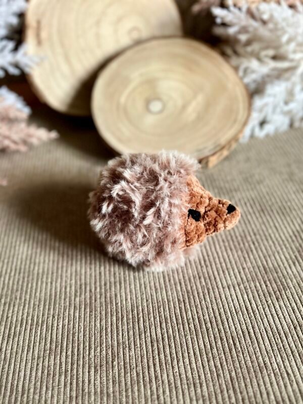 img_2652 Petit hérisson